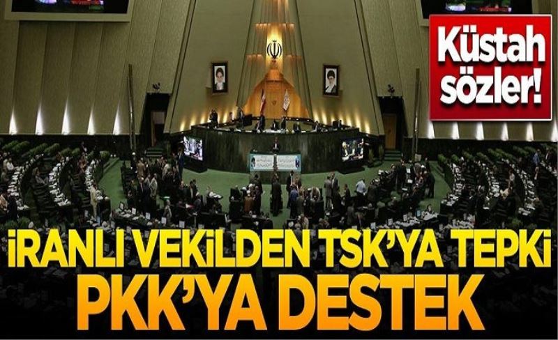 İranlı vekilden TSK'ya tepki PKK'ya destek