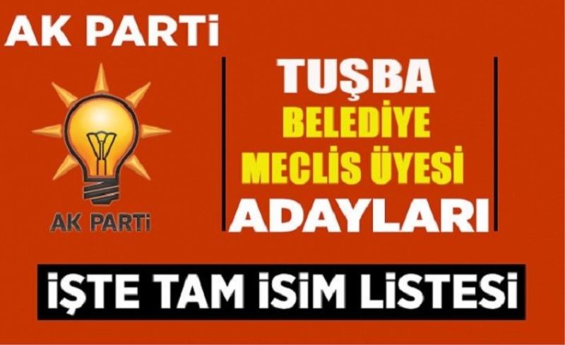 AK Parti Tuşba Belediye Meclis Üyesi adayları