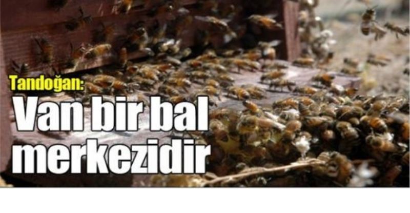 Arıcılar Birliği Başkanı Tandoğan: Van bir bal merkezidir