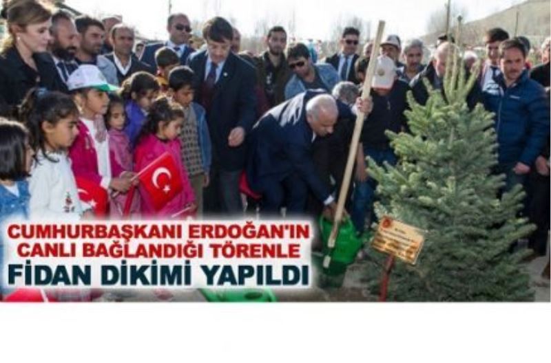 Cumhurbaşkanı Erdoğan’ın canlı bağlandığı törenle fidan dikimi yapıldı