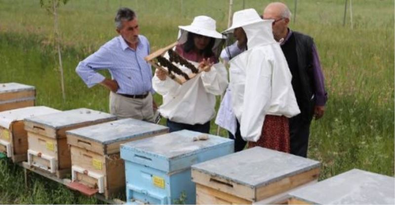 Eğitimlerini tamamlayan kadınlar ana arı üretecek