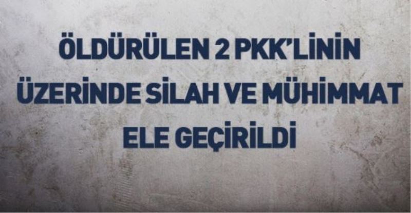 Öldürülen 2 PKK