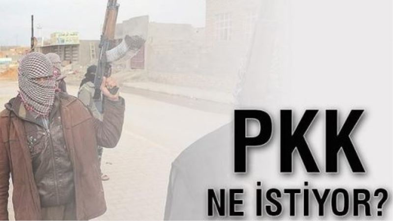 PKK ne istiyor?