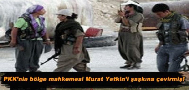 PKK’nin bölge mahkemesi Radikal yazarının gündeminde!
