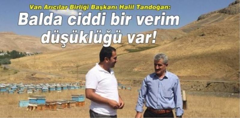 Van Arıcılar Birliği Başkanı Halil Tandoğan: Balda ciddi bir verim düşüklüğü var!