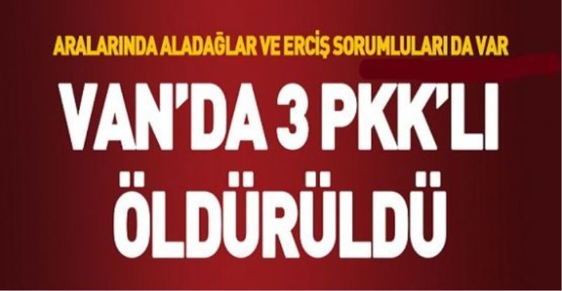 VAN’DA 3 PKK’LI ÖLDÜRÜLDÜ