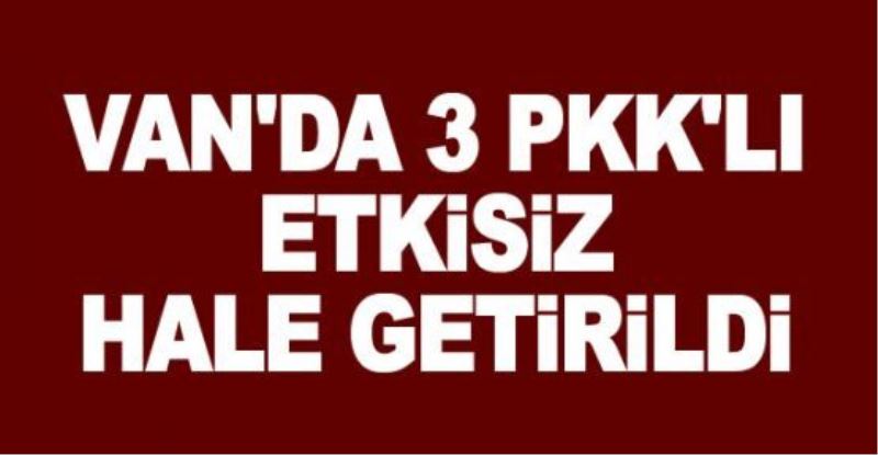 Van’da 3 PKK’lı öldürüldü