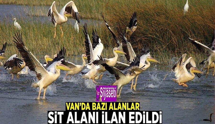 Van’da bazı alanlar sit alanı ilan edildi