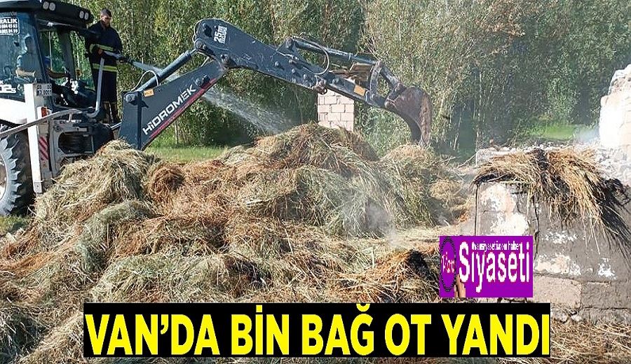 Van’da bin bağ ot yandı