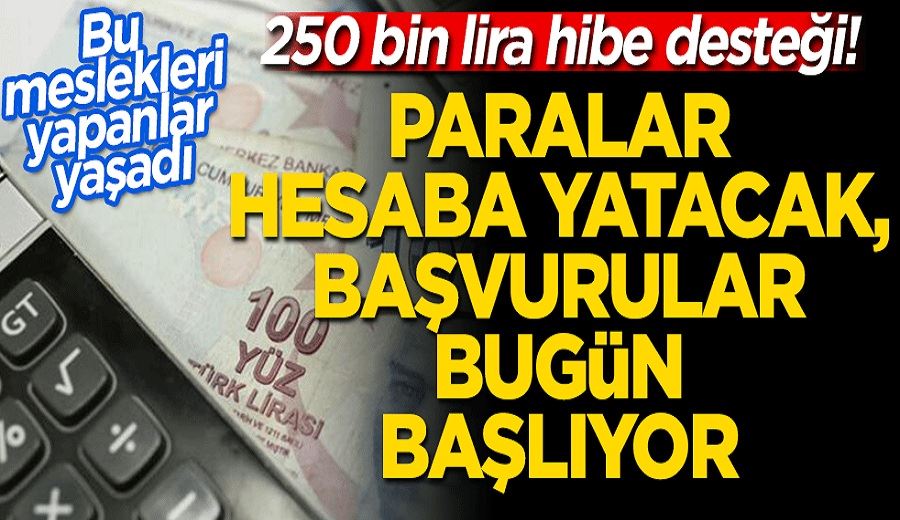 250 bin lira hibe desteği! Paralar hesaba yatacak, başvurular bugün başlıyor