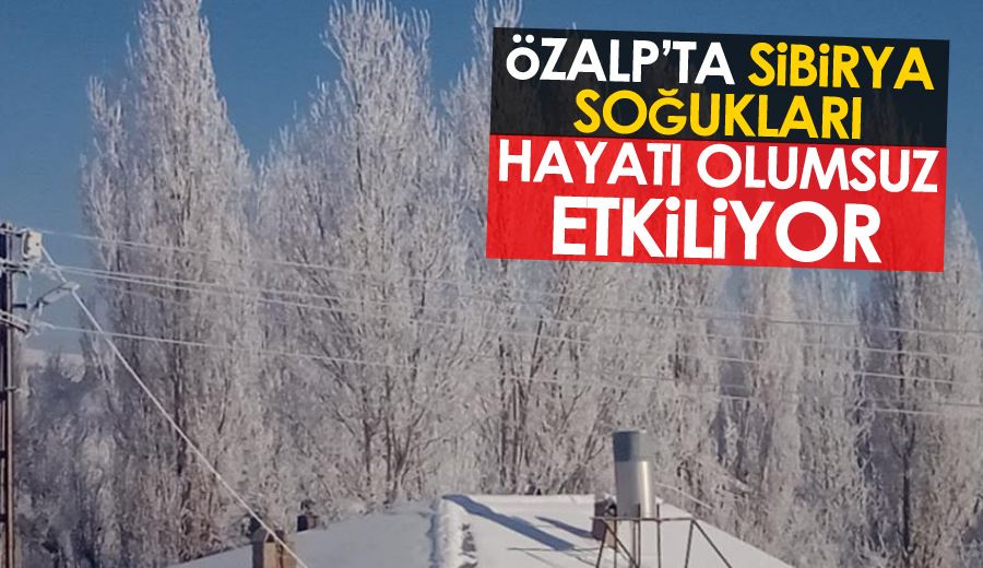 Özalp’ta Sibirya soğukları hayatı olumsuz etkiliyor