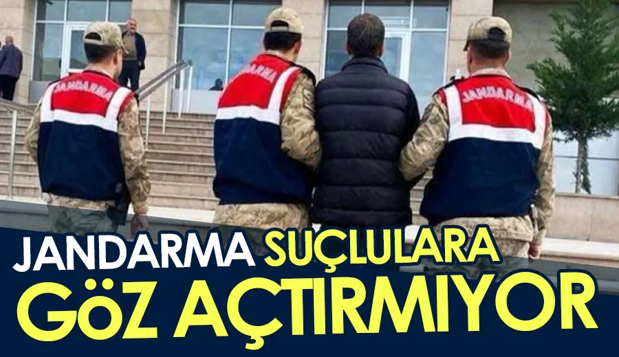 Jandarma, suçlulara göz açtırmıyor