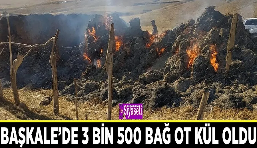 Başkale’de 3 bin 500 bağ ot kül oldu