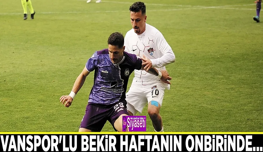 Vanspor