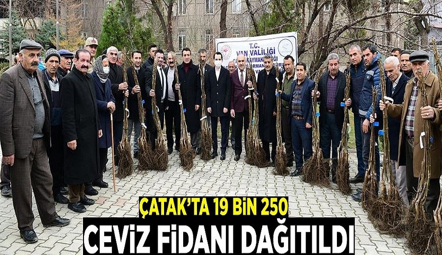 Çatak’ta çiftçilere 19 bin 250 ceviz fidanı dağıtıldı