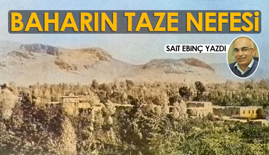 BAHARIN TAZE NEFESİ