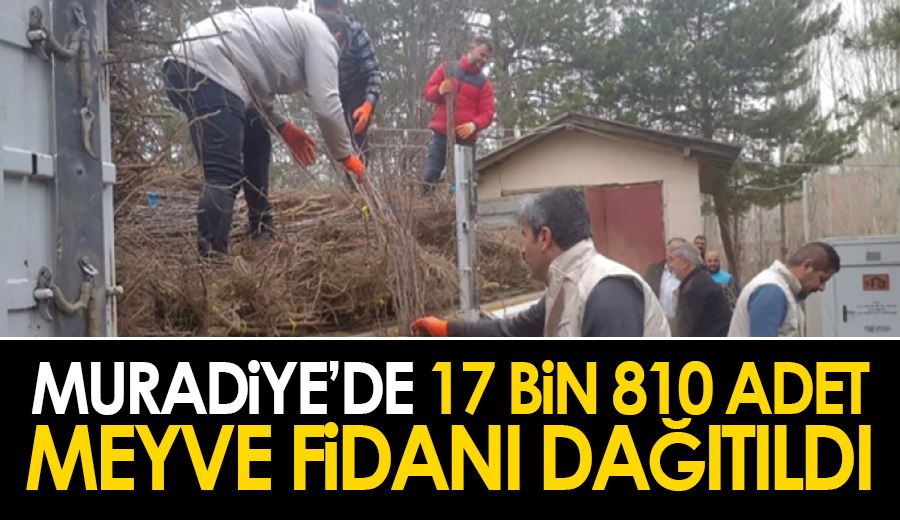 Muradiye’de 17 bin 810 adet meyve fidanı dağıtıldı