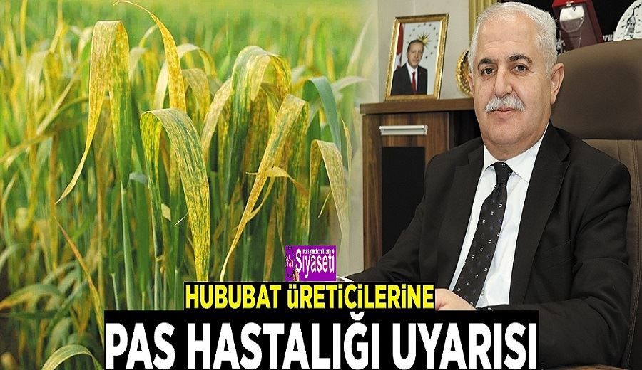 Hububat üreticilerine pas hastalığı uyarısı