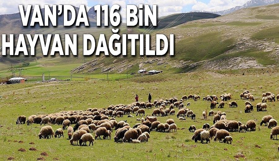 Van’da 116 bin hayvan dağıtıldı