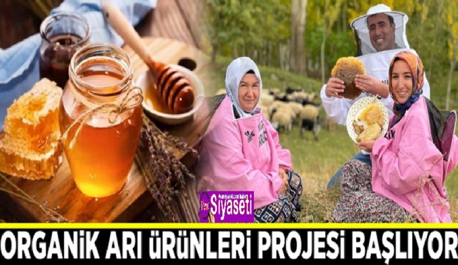 Gevaş ilçesinde organik arı ürünleri projesi başlıyor