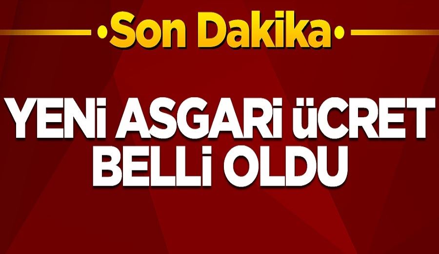 Yeni asgari ücret belli oldu