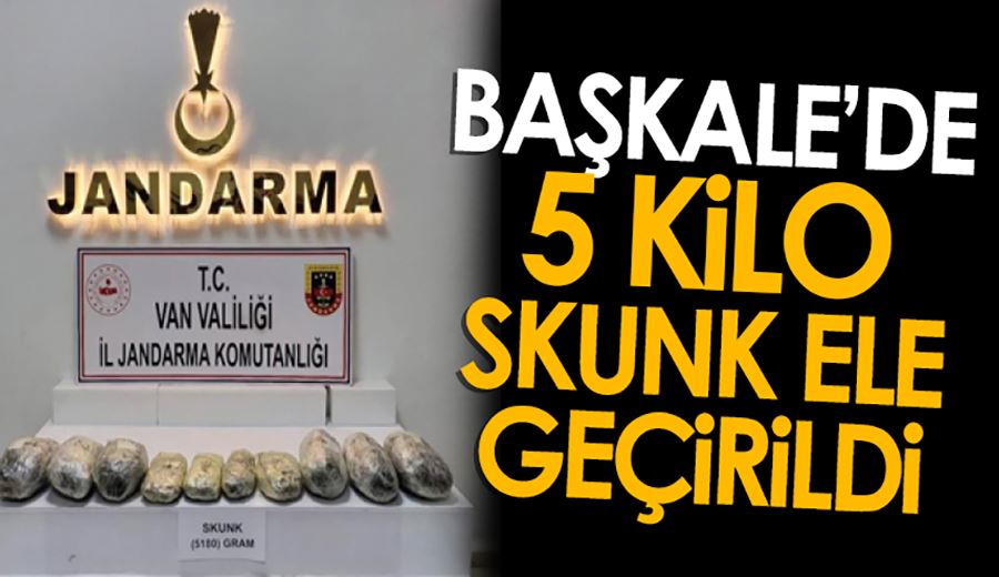 Başkale’de 5 kilo skunk ele geçirildi