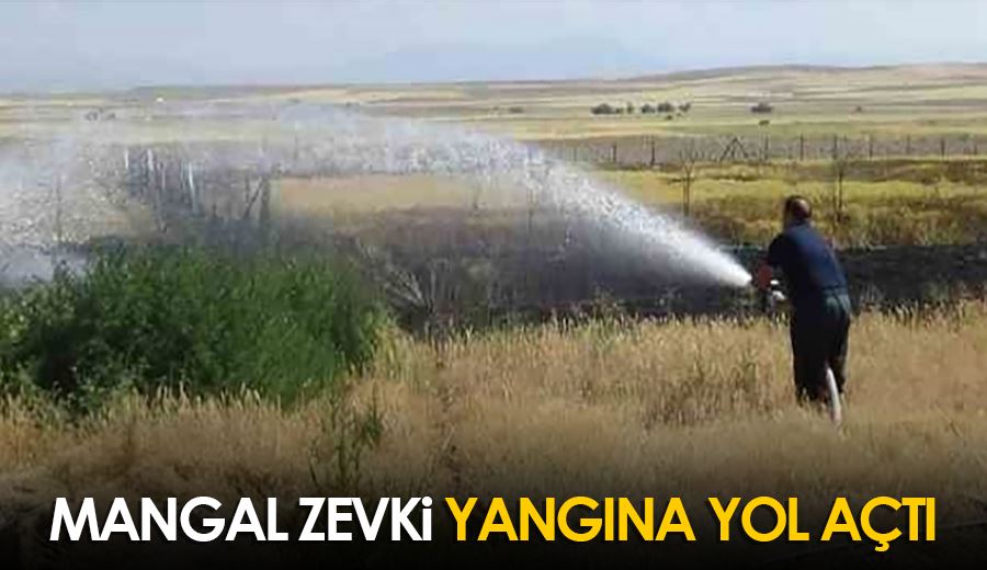 Mangal zevki, yangına yol açtı