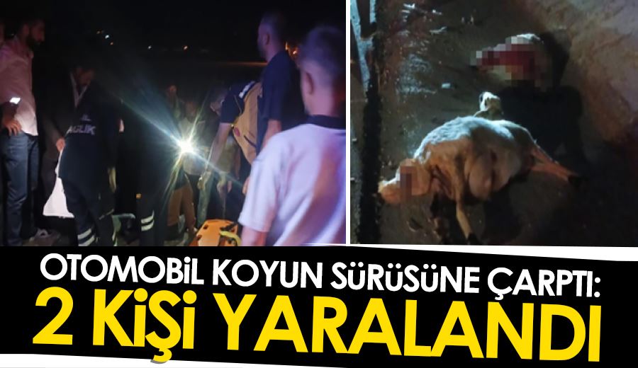 Otomobil koyun sürüsüne çarptı: 2 kişi yaralandı