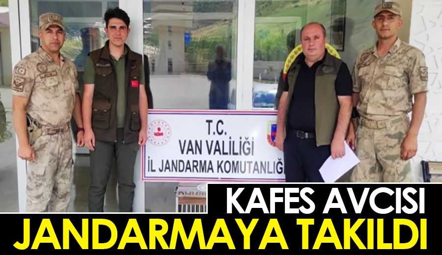 Kafes avcısı jandarmaya takıldı