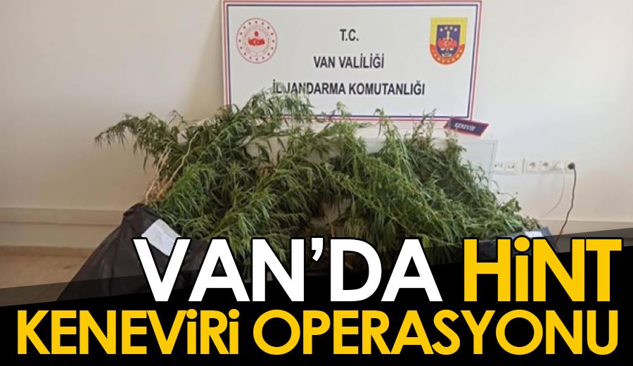 Van’da Hint keneviri operasyonu