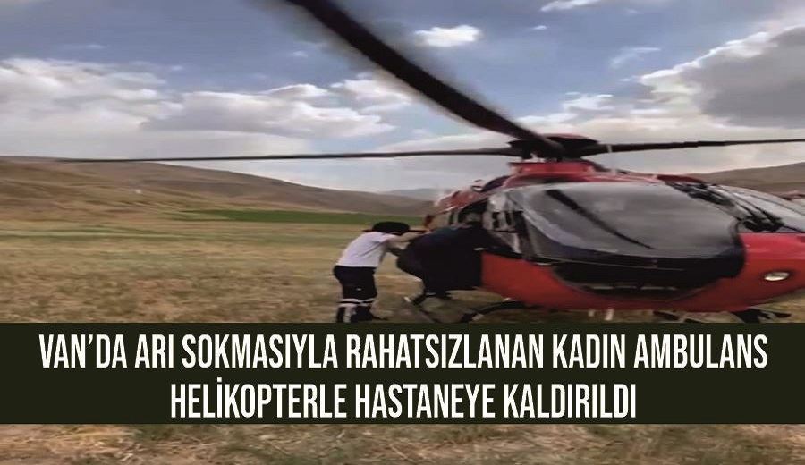 Van’da arı sokmasıyla rahatsızlanan kadın ambulans helikopterle hastaneye kaldırıldı