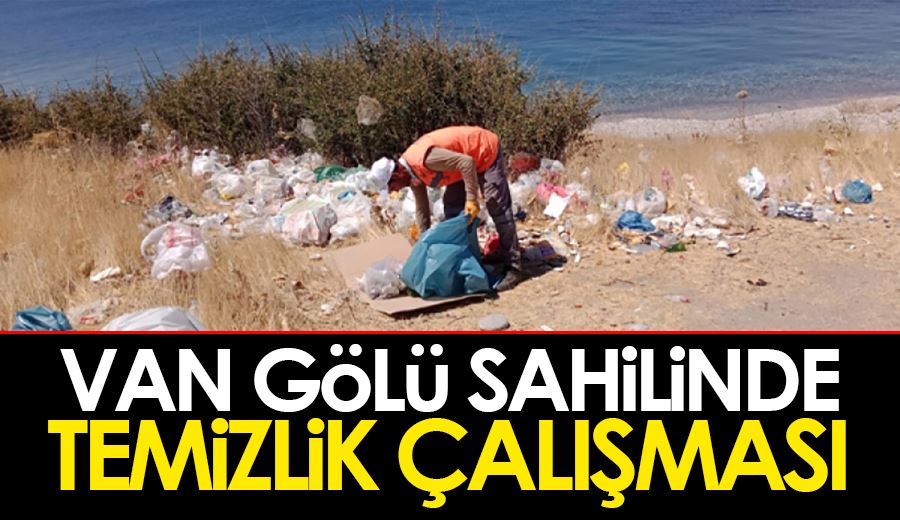 Van Gölü sahilinde temizlik çalışması