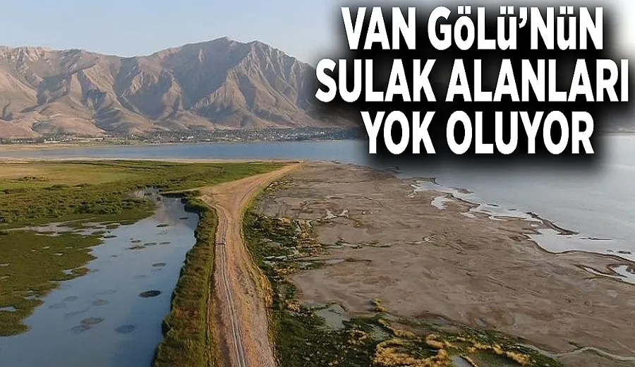Van Gölü’nün sulak alanları yok oluyor