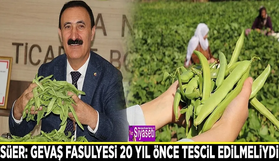 Süer: Gevaş fasulyesi 20 yıl önce tescil edilmeliydi
