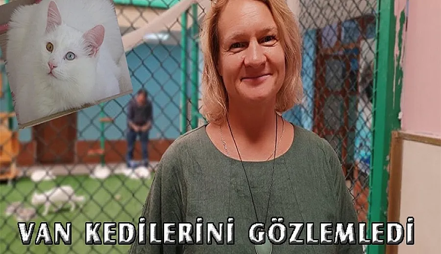 Van kedilerinin psikolojiye etkileri araştırıldı