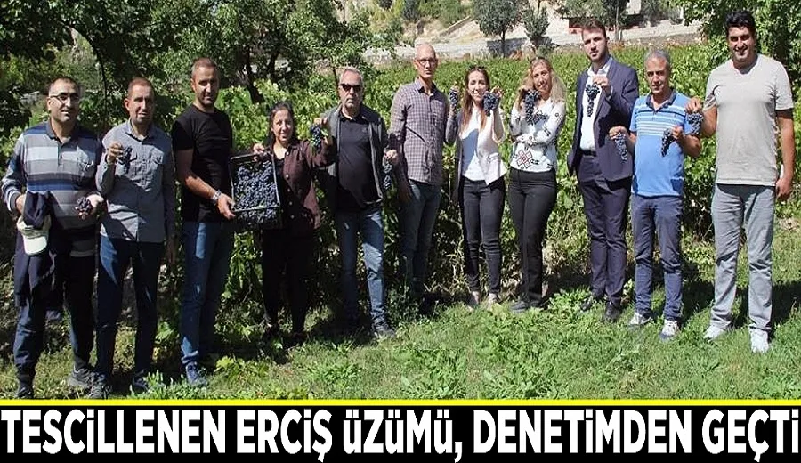 Tescillenen Erciş Üzümü, denetimden geçti