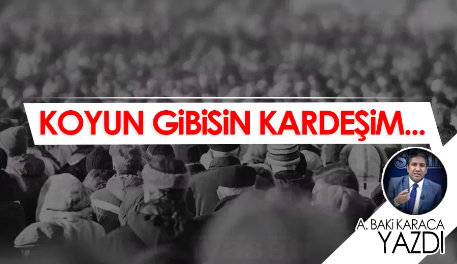 KOYUN GİBİSİN KARDEŞİM…