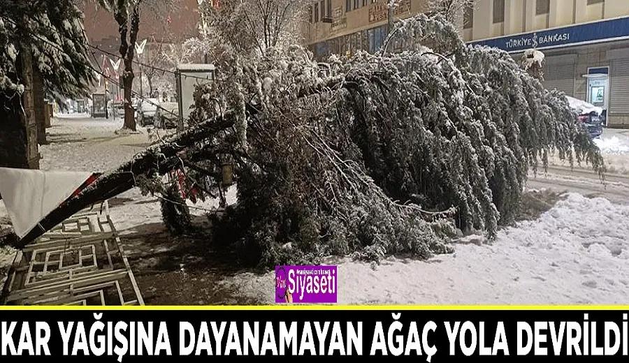 Kar yağışına dayanamayan ağaç yola devrildi