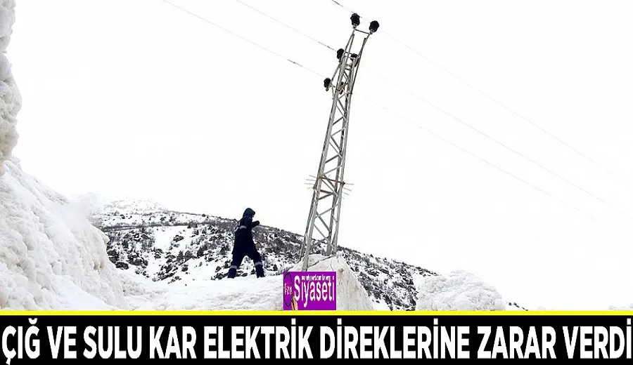 Çığ ve sulu kar elektrik direklerine zarar verdi