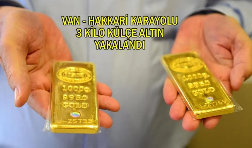 Van-Hakkari Karayolunda 3 Kilo Külçe Altın Yakalandı