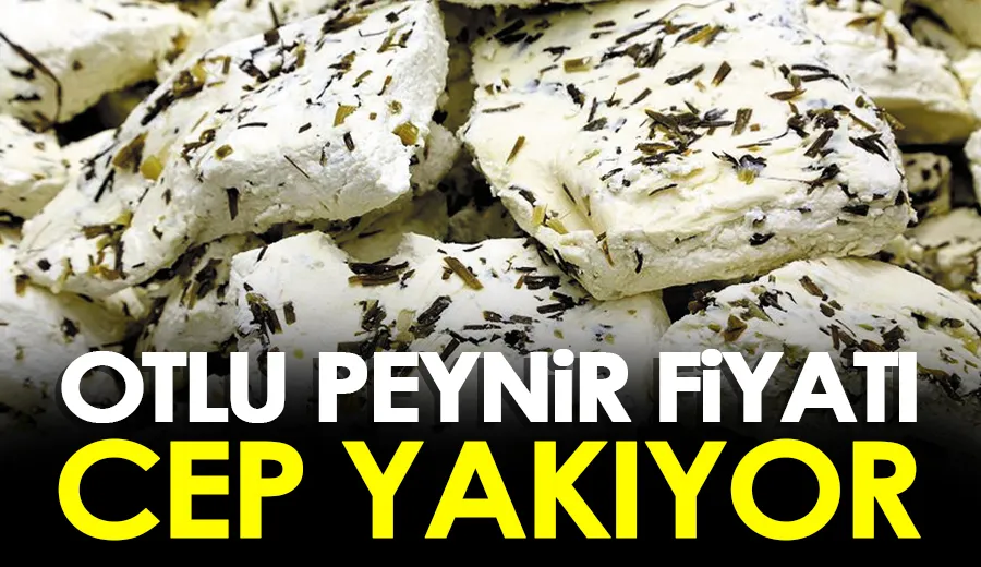 Otlu peynir fiyatı, cep yakıyor