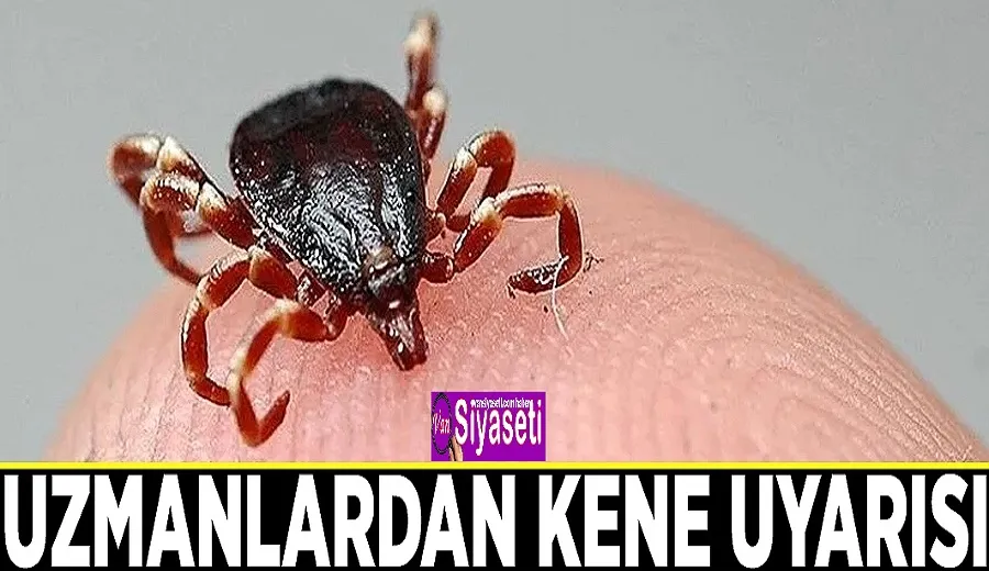 Uzmanlardan kene uyarısı