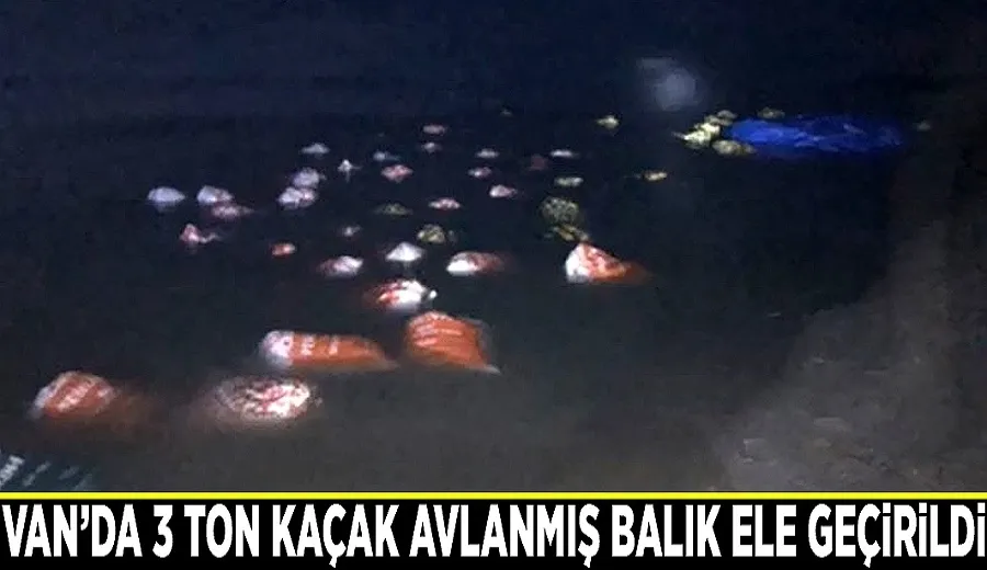Van’da 3 ton kaçak avlanmış balık ele geçirildi