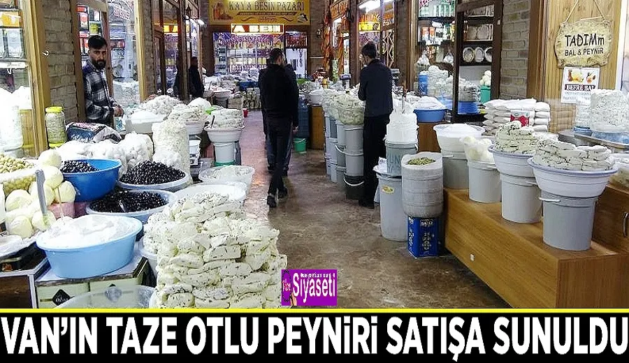 Van’ın taze otlu peyniri satışa sunuldu