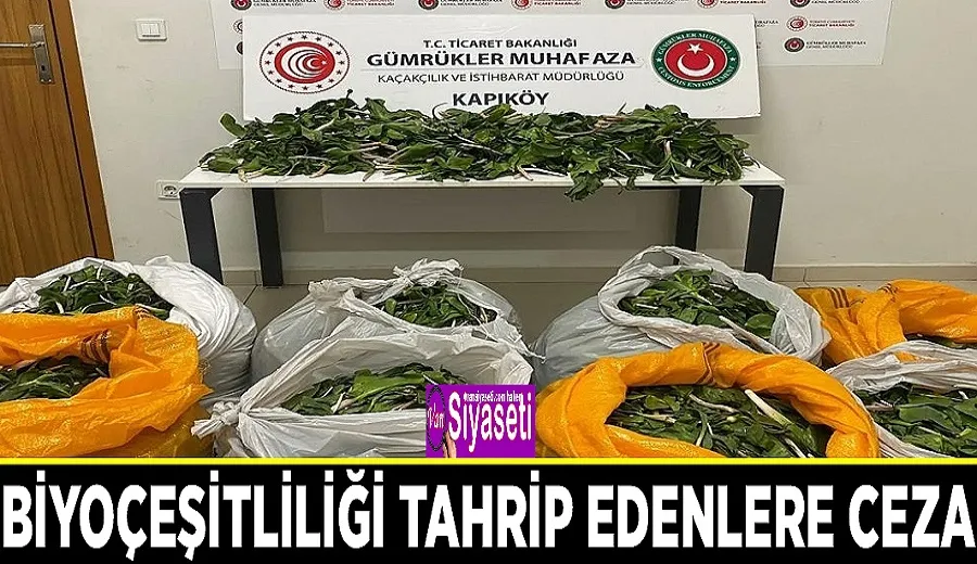 Biyoçeşitliliği tahrip edenlere ceza