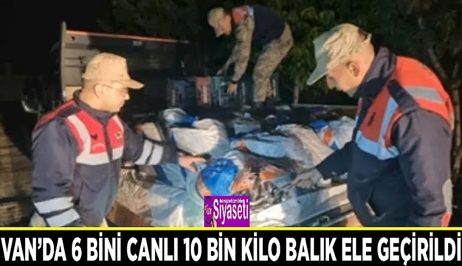 Van’da 6 bini canlı 10 bin kilo balık ele geçirildi