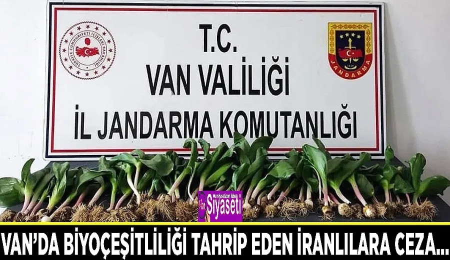 Van’da biyoçeşitliliği tahrip eden İranlılara ceza…