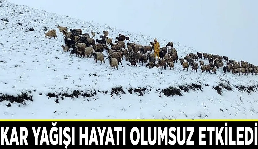 Kar yağışı hayatı olumsuz etkiledi