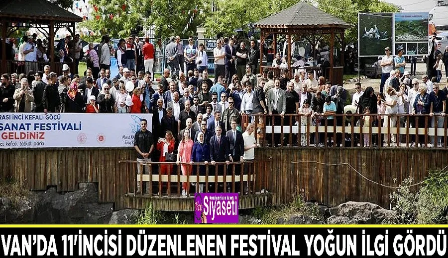 Van’da 11