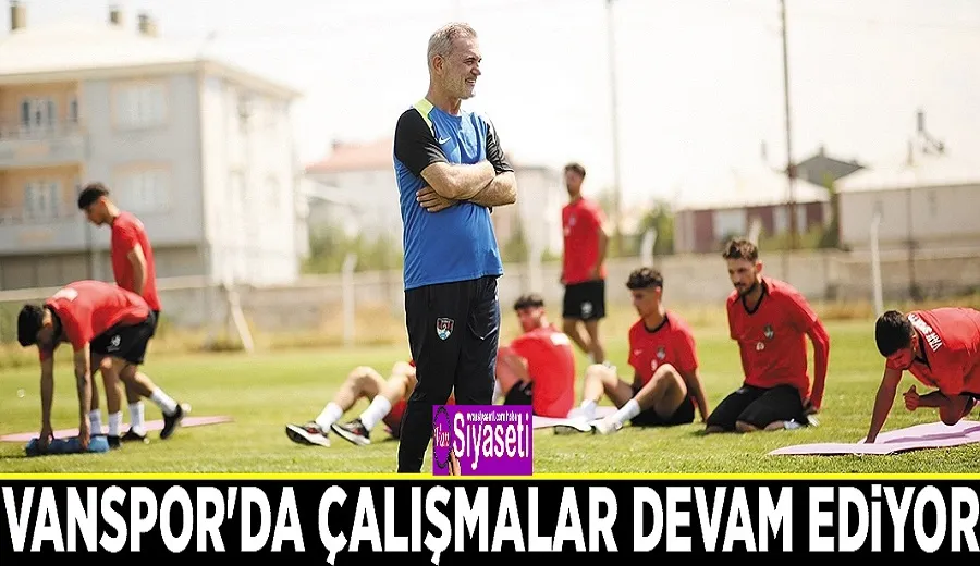 Vanspor